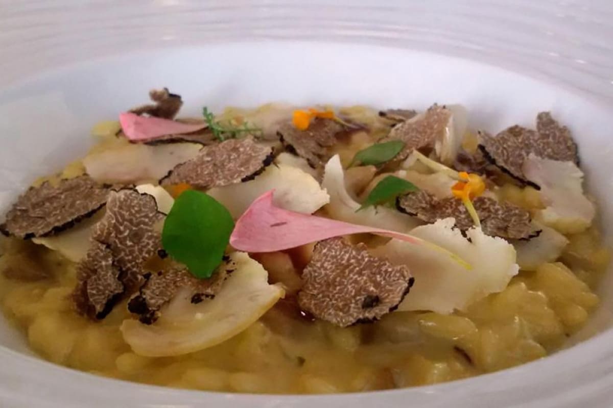feva ristorante cucina 2015