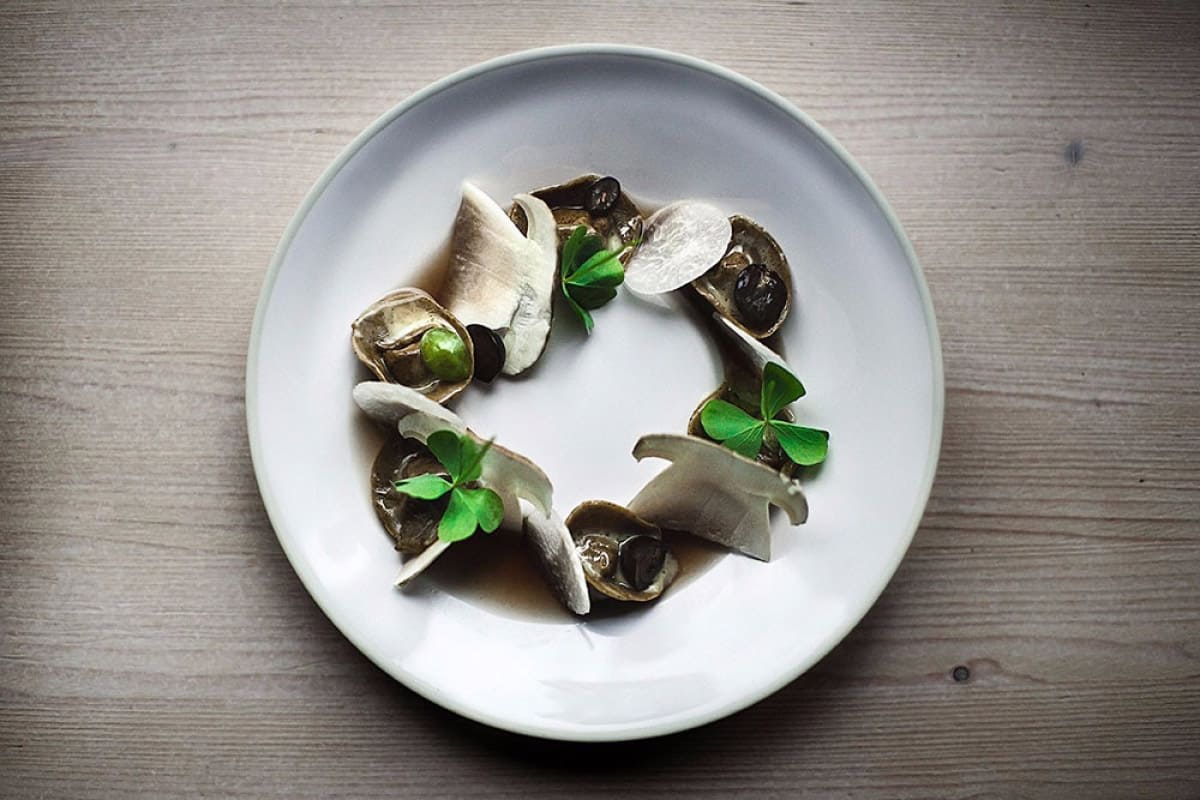 feva ristorante cucina 2016