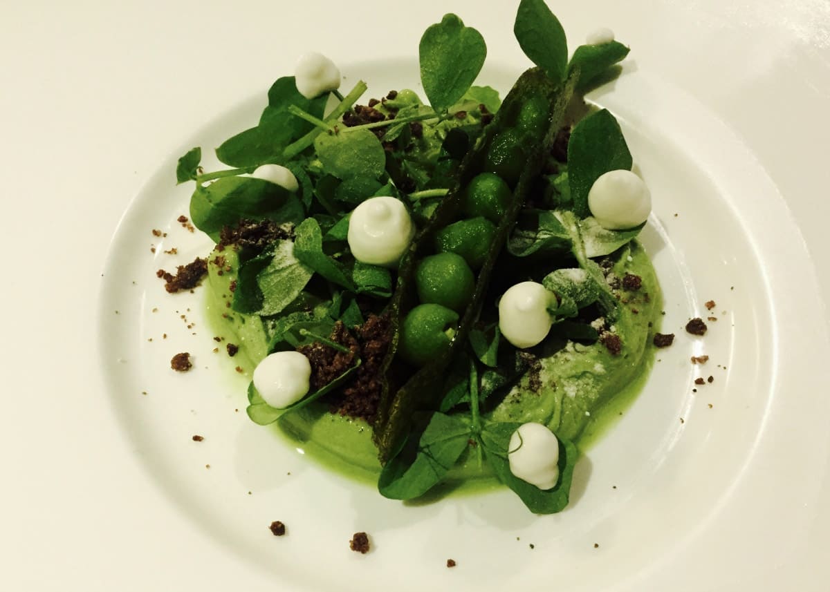 feva ristorante cucina 2017