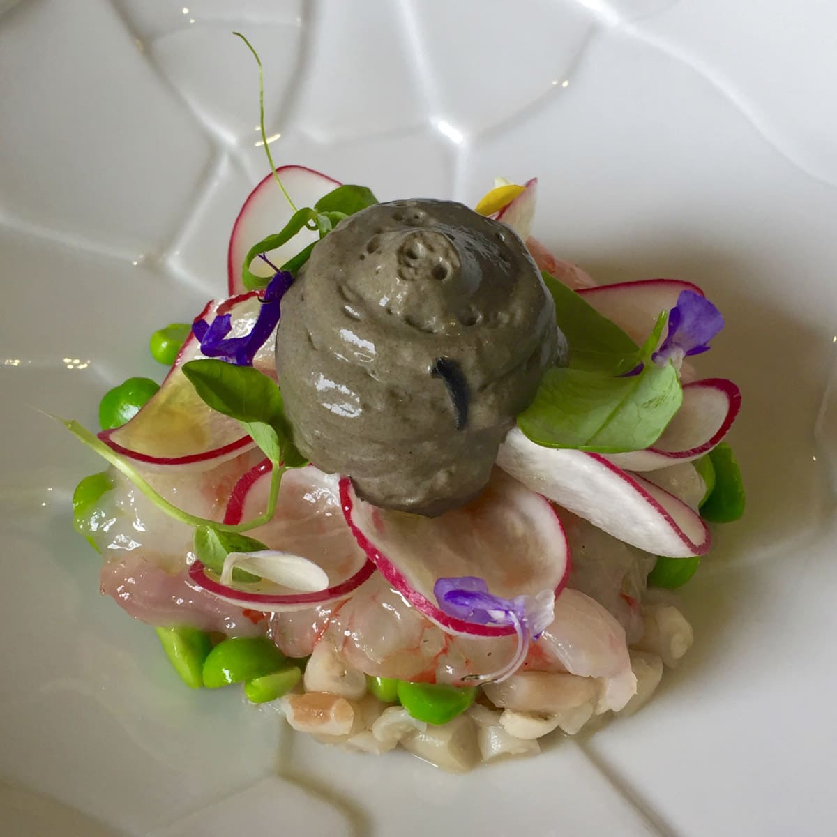 feva ristorante cucina 2017