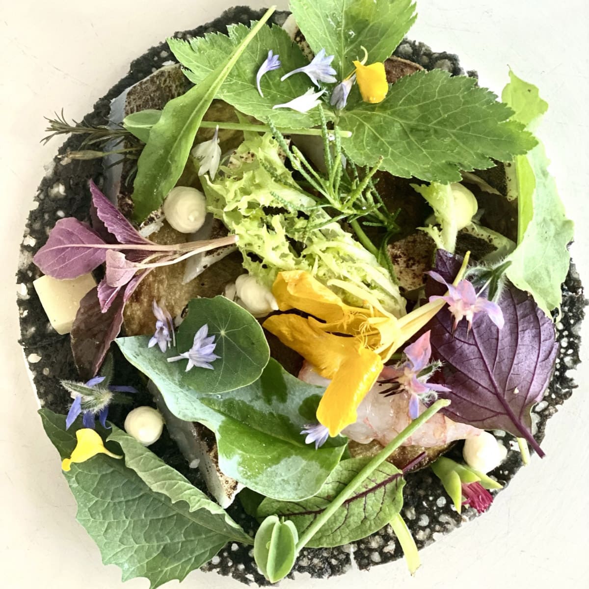 feva ristorante cucina 2021