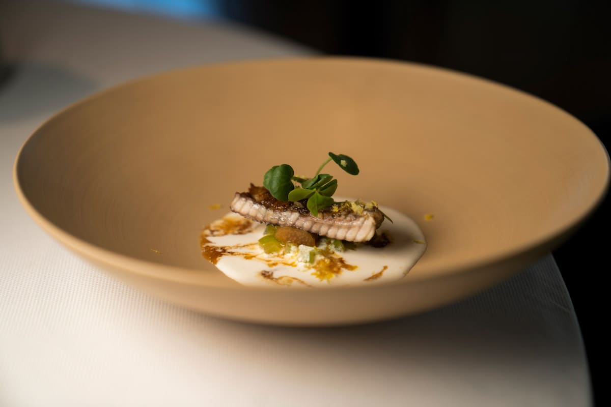 feva ristorante cucina 2022
