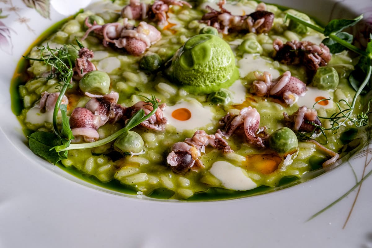 feva ristorante cucina 2022