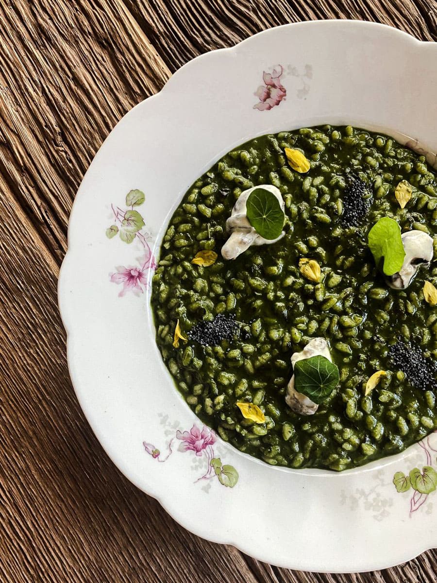 feva ristorante cucina 2024