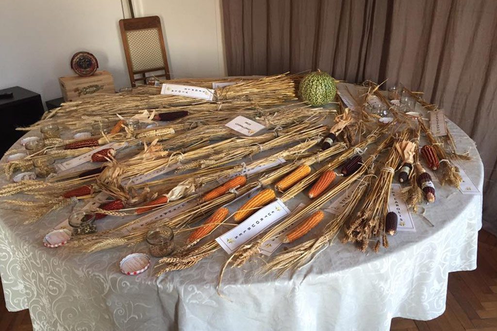 CuSvi sviluppo culinario semi e biodiversità