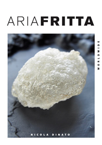 aria fritta libro nicola dinato
